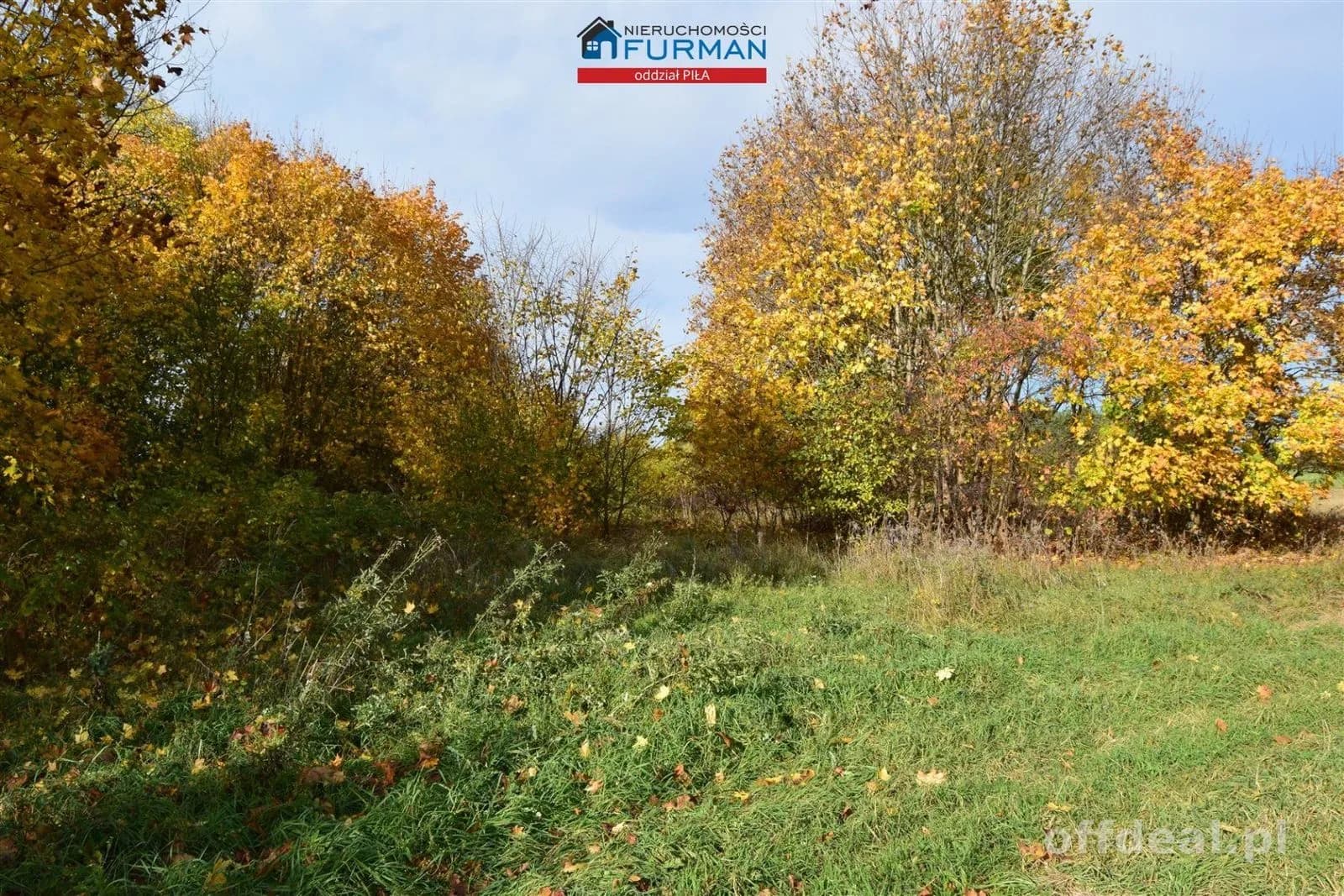Foto 6: Grundstück, 96206 m², Rusinowo