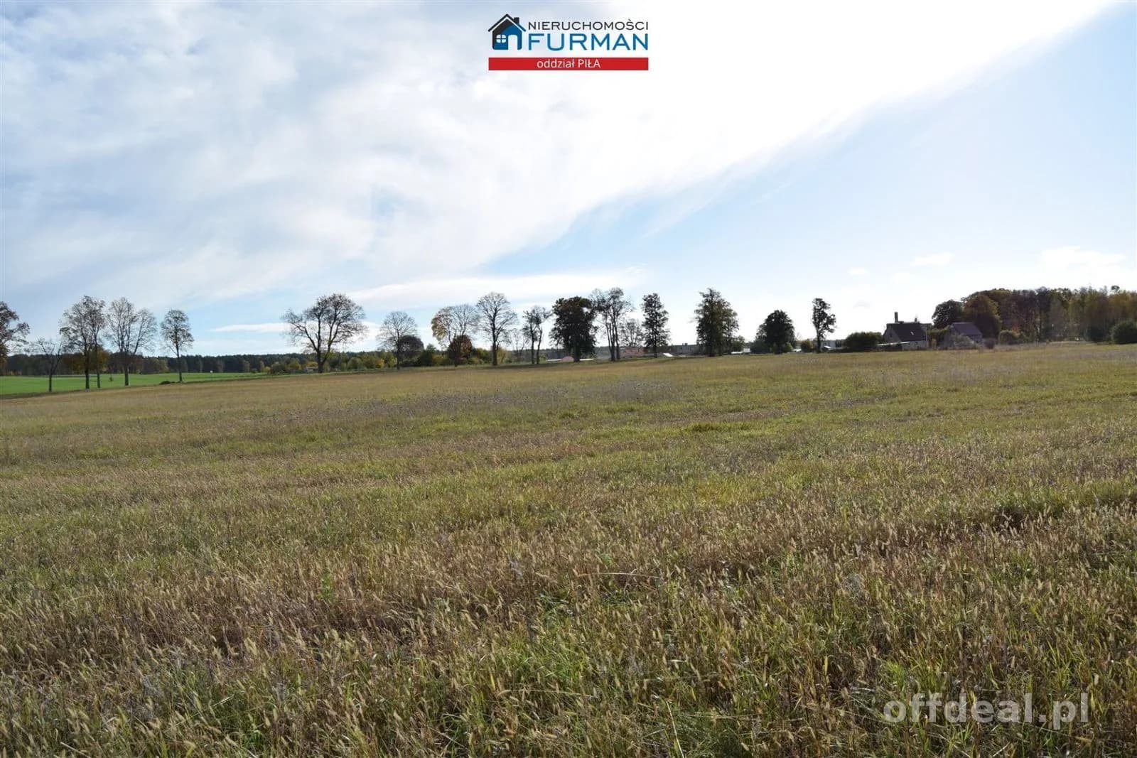 Foto 4: Grundstück, 96206 m², Rusinowo