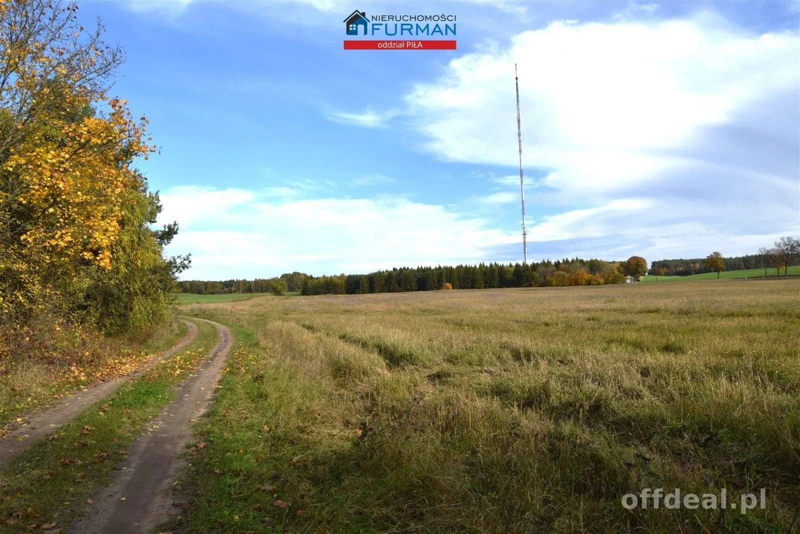 Foto 1: Grundstück, 96206 m², Rusinowo
