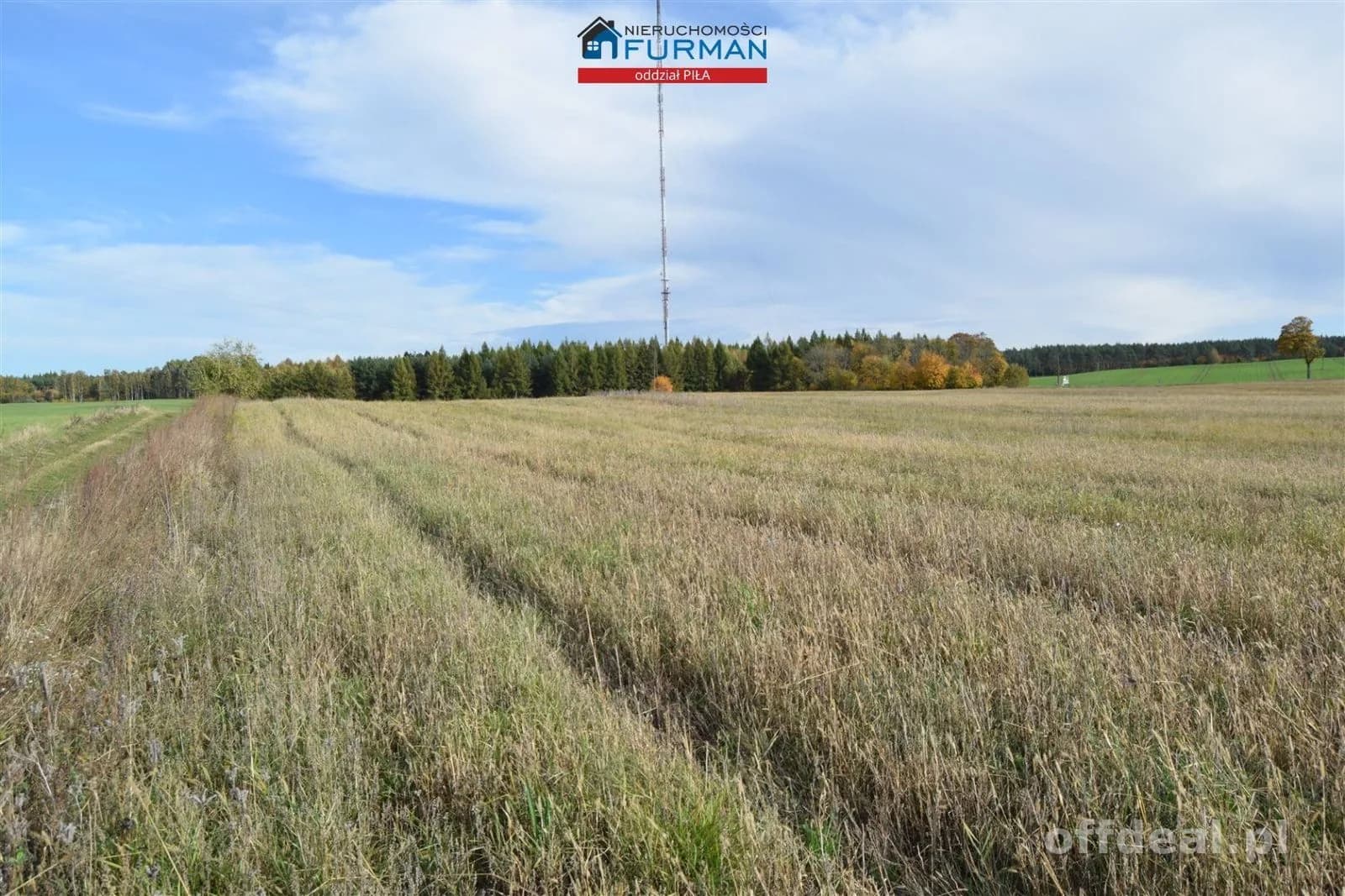 Foto 5: Grundstück, 96206 m², Rusinowo