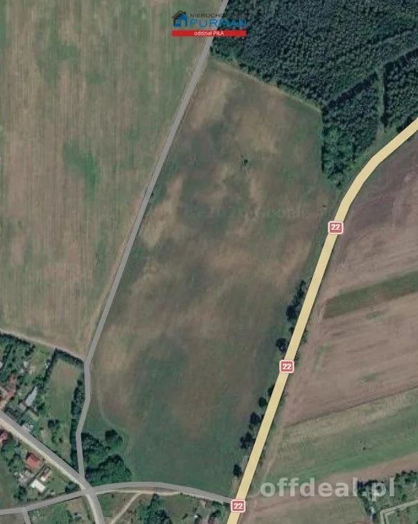 Foto 11: Grundstück, 96206 m², Rusinowo
