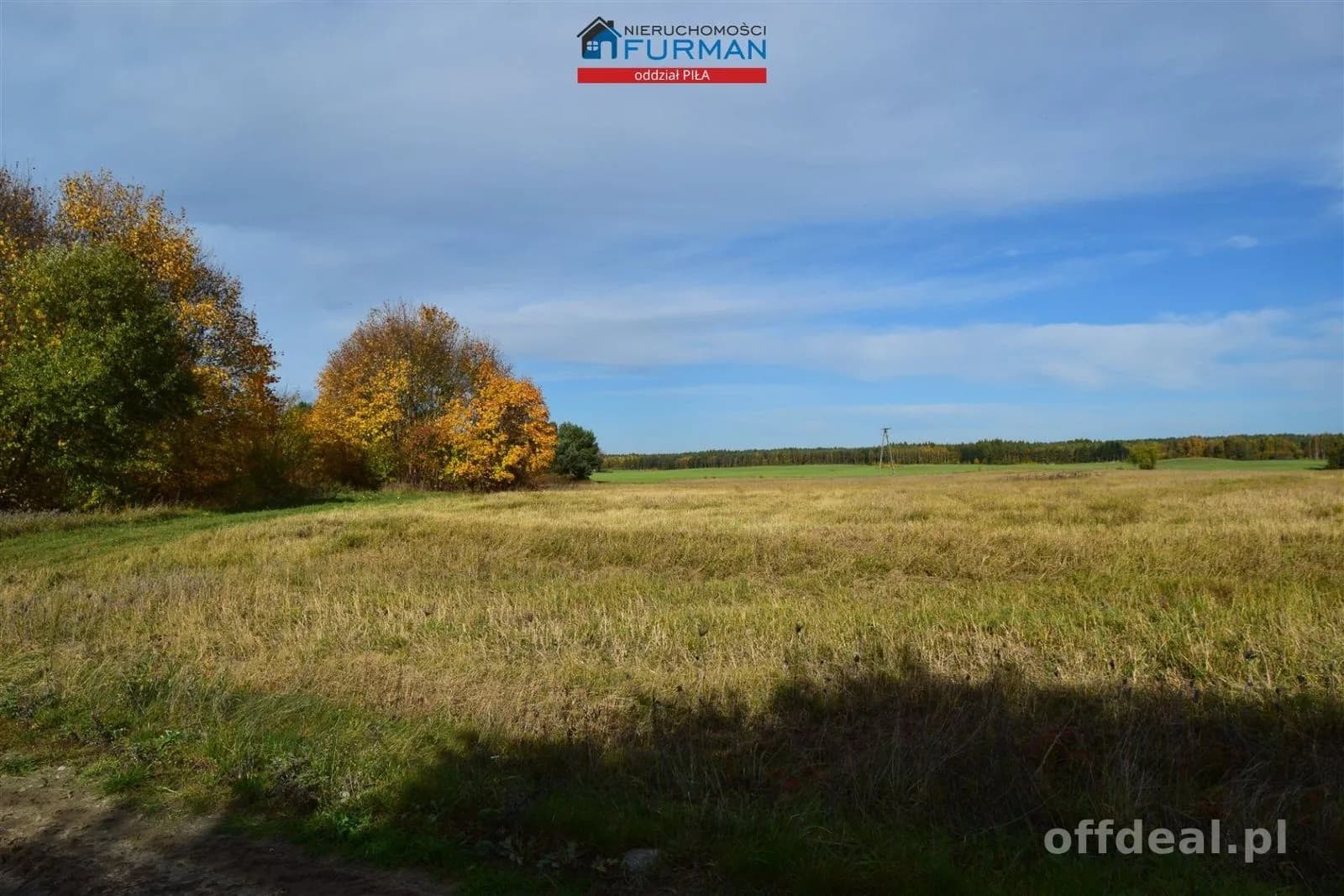 Foto 7: Grundstück, 96206 m², Rusinowo