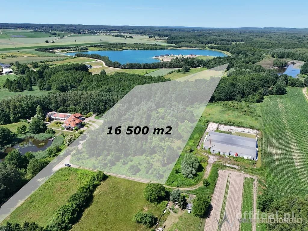 Działka - 1,65 ha - gmina Dobroszyce