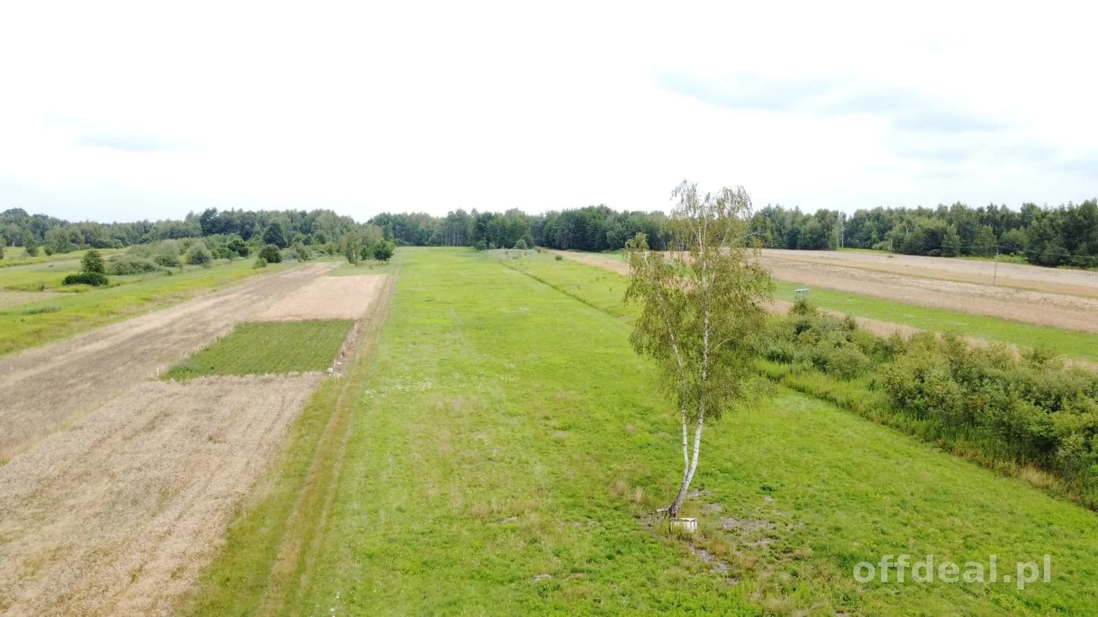 Jodłówka gmina Rzezawa 2,9ha działka budowlana