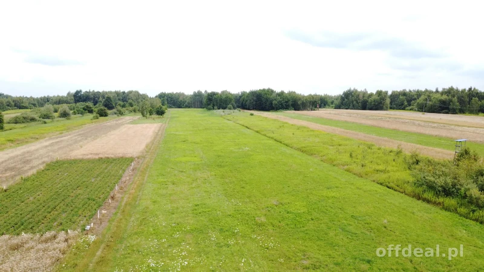 Jodłówka gmina Rzezawa 2,9ha działka budowlana