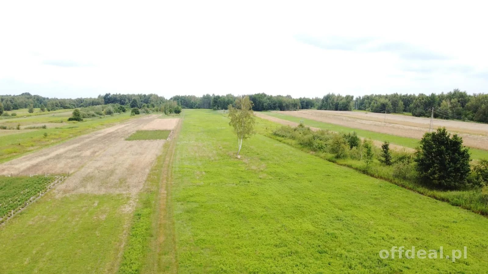 Jodłówka gmina Rzezawa 2,9ha działka budowlana