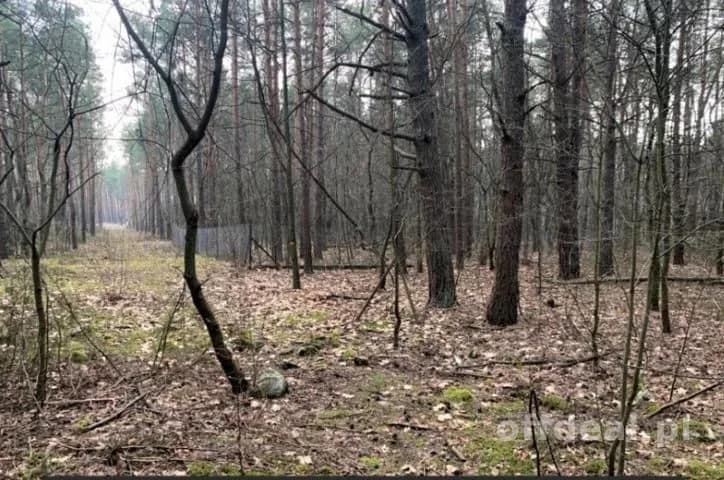 Sprzedam super działkę inwestycyjno-budowlaną .