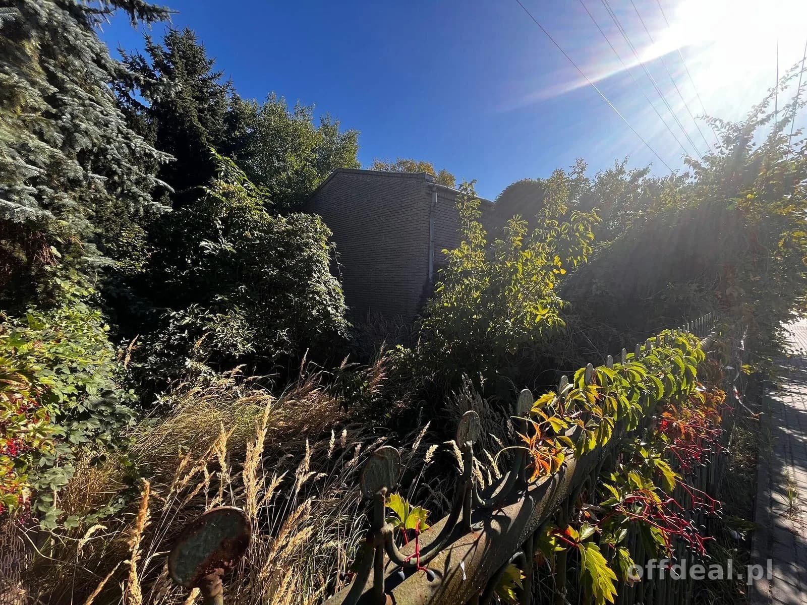 plot for sale in Paprotnia | 1,746 m²