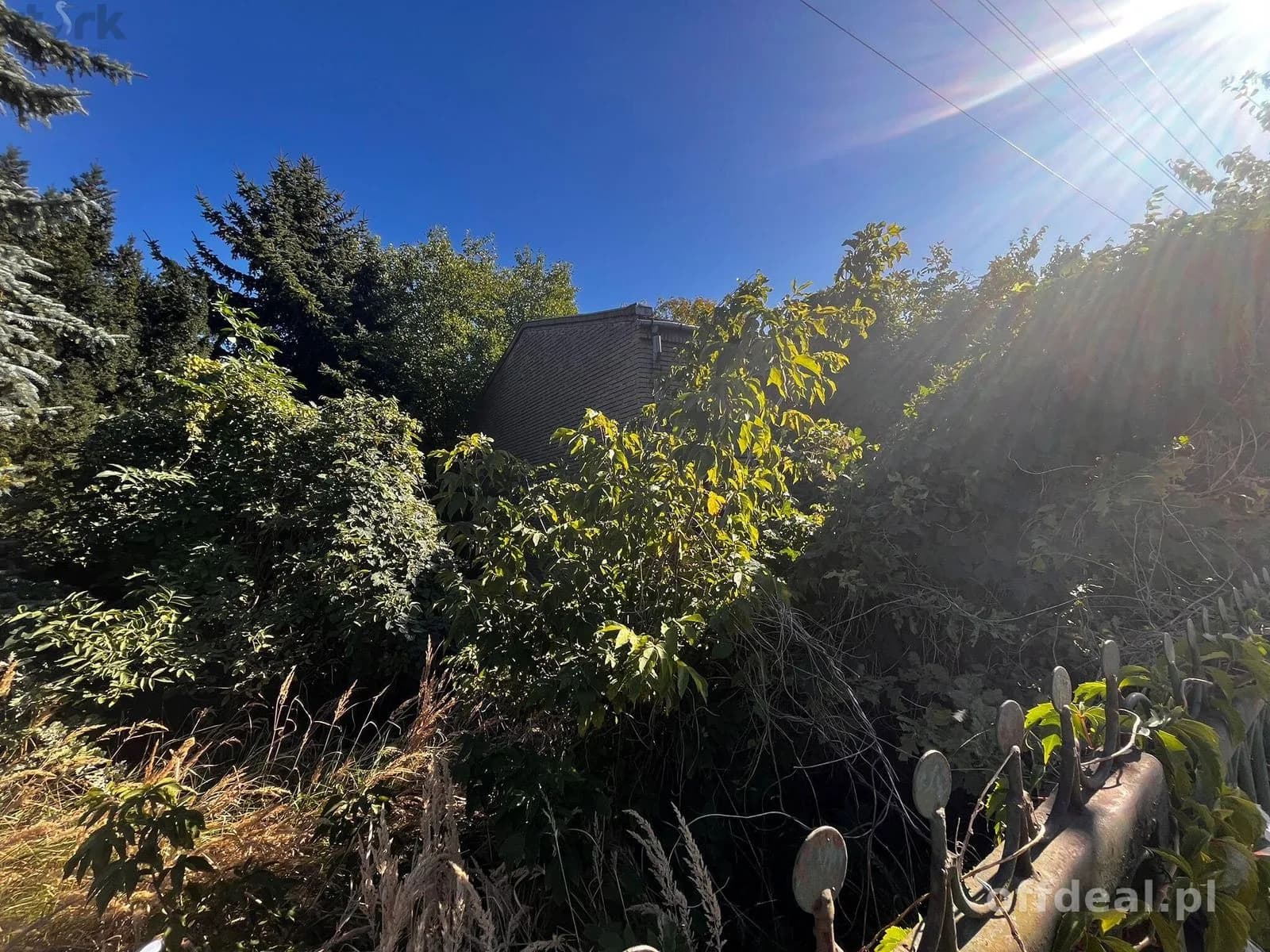 plot for sale in Paprotnia | 1,746 m²