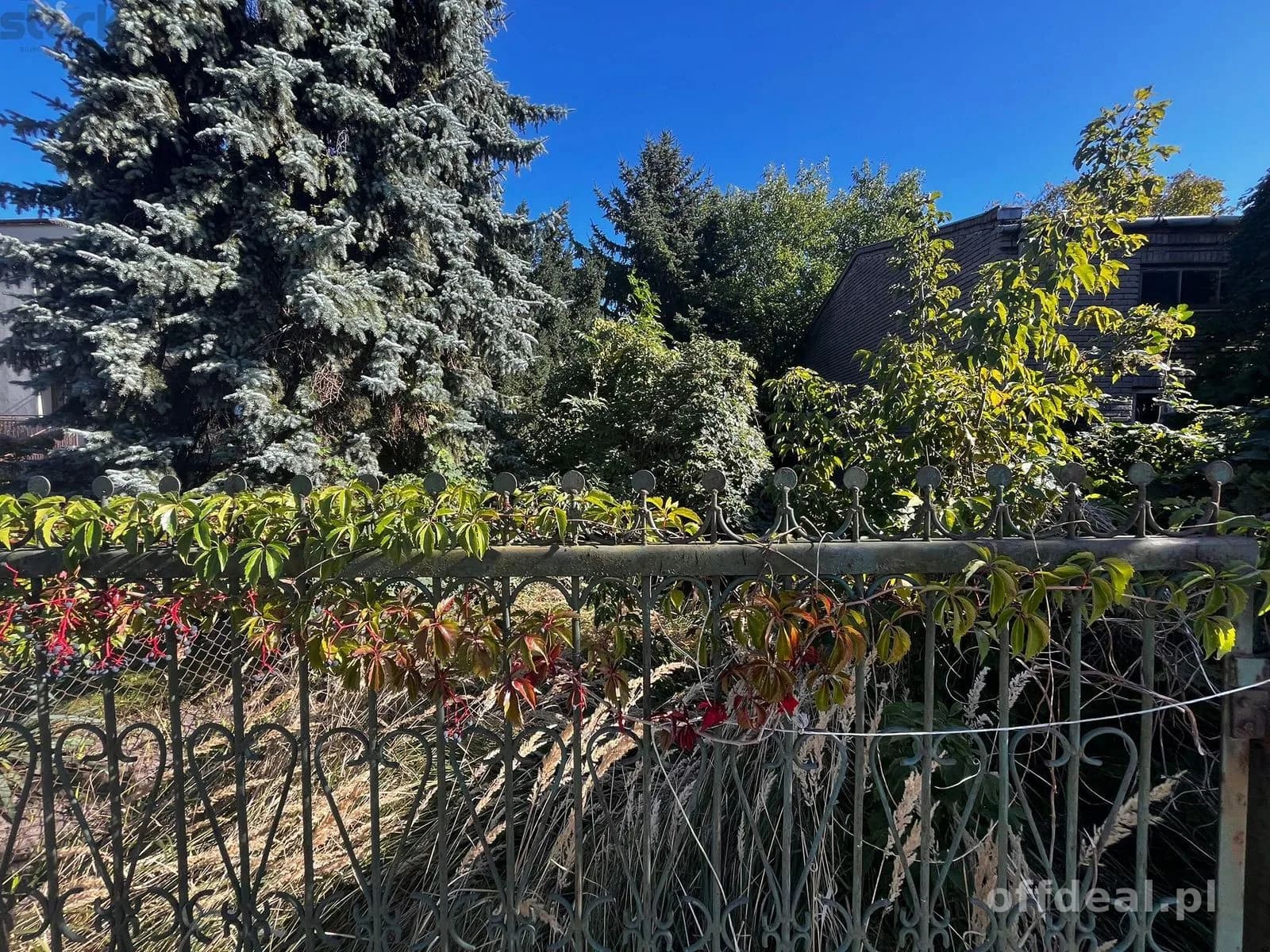 plot for sale in Paprotnia | 1,746 m²