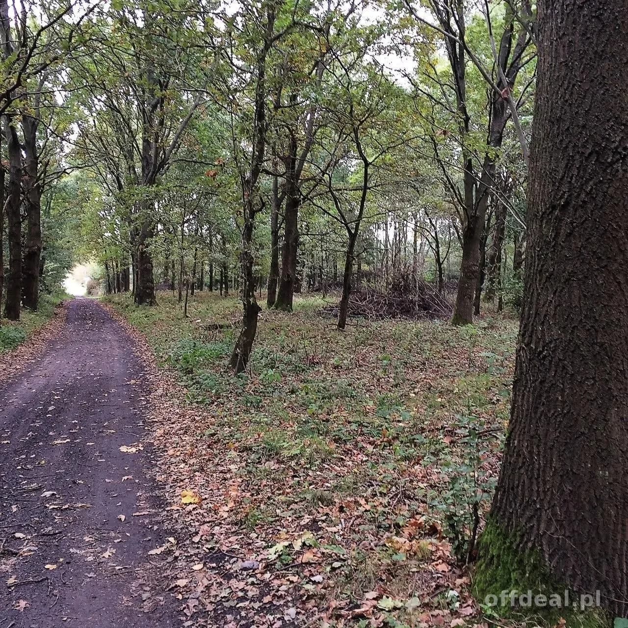 ділянка на продаж у Dygowo | 102 772 m²