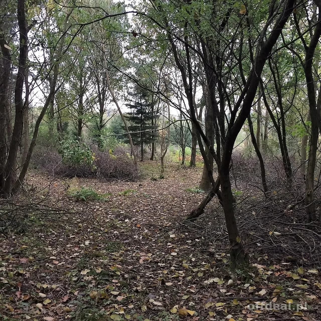 ділянка на продаж у Dygowo | 102 772 m²
