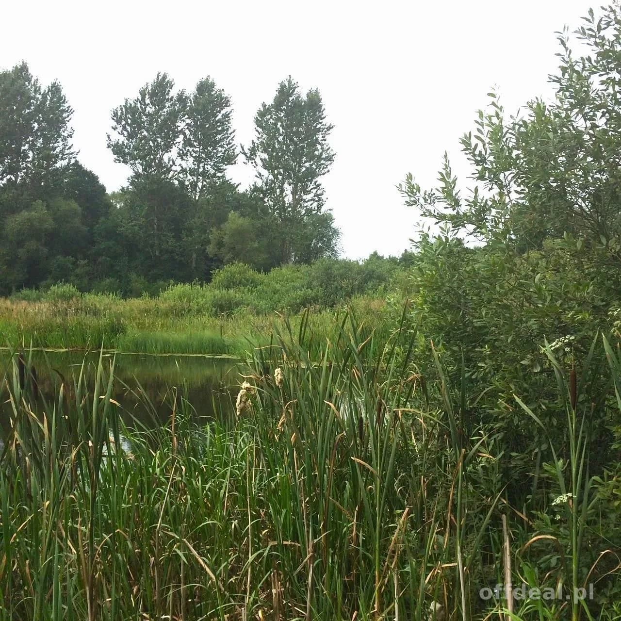 ділянка на продаж у Dygowo | 102 772 m²
