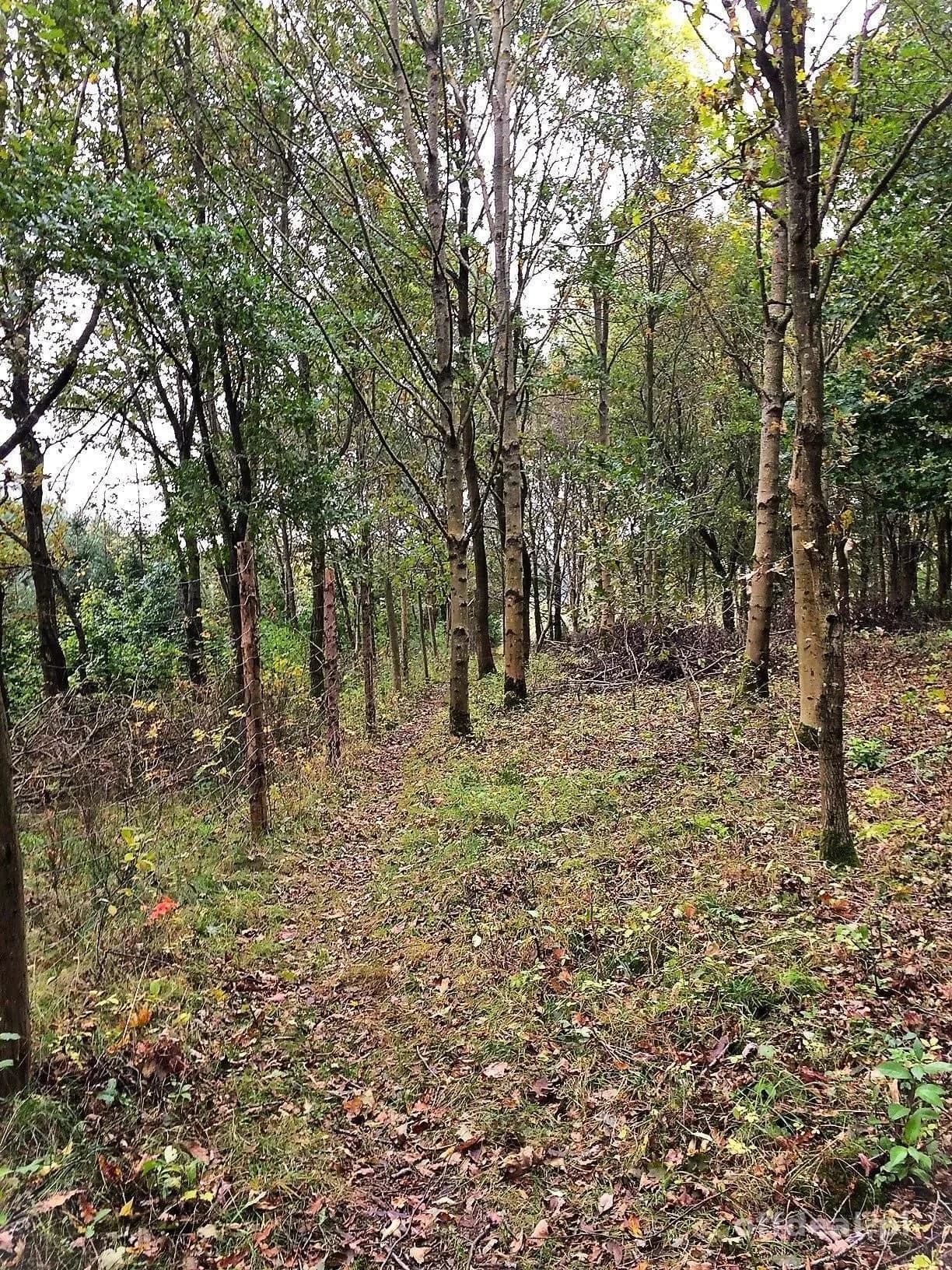 ділянка на продаж у Dygowo | 102 772 m²