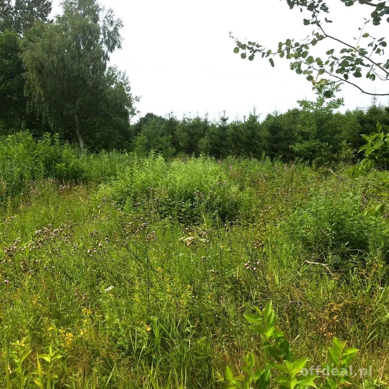 ділянка на продаж у Dygowo | 102 772 m²