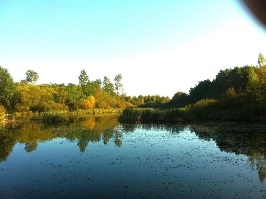 plot for sale in Dygowo | 102,772 m²