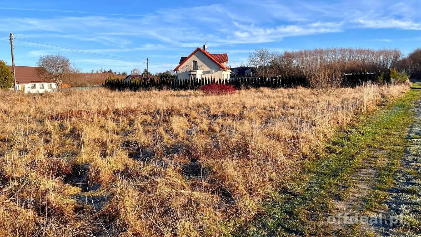 plot for sale in Czernin | 2,692 m²