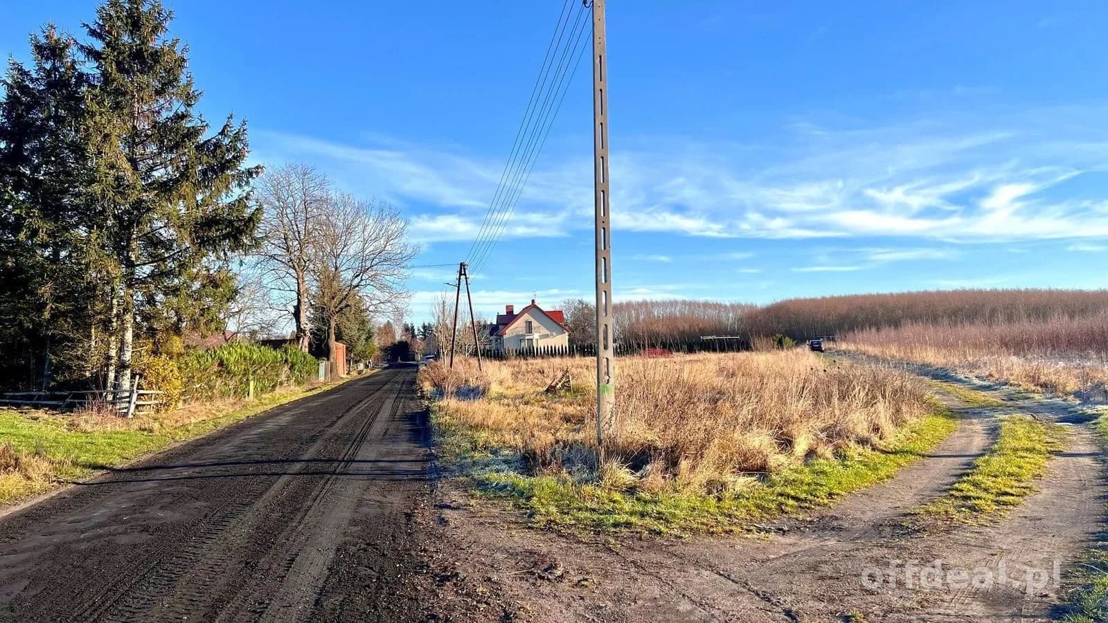 plot for sale in Czernin | 2,692 m²