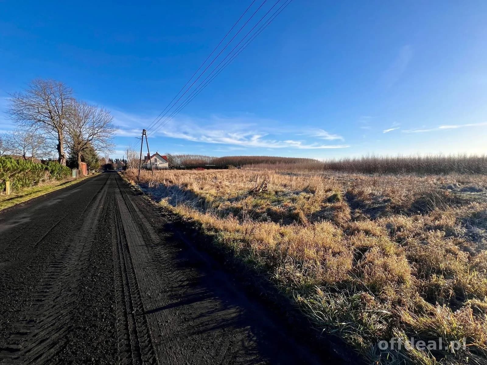 plot for sale in Czernin | 2,692 m²
