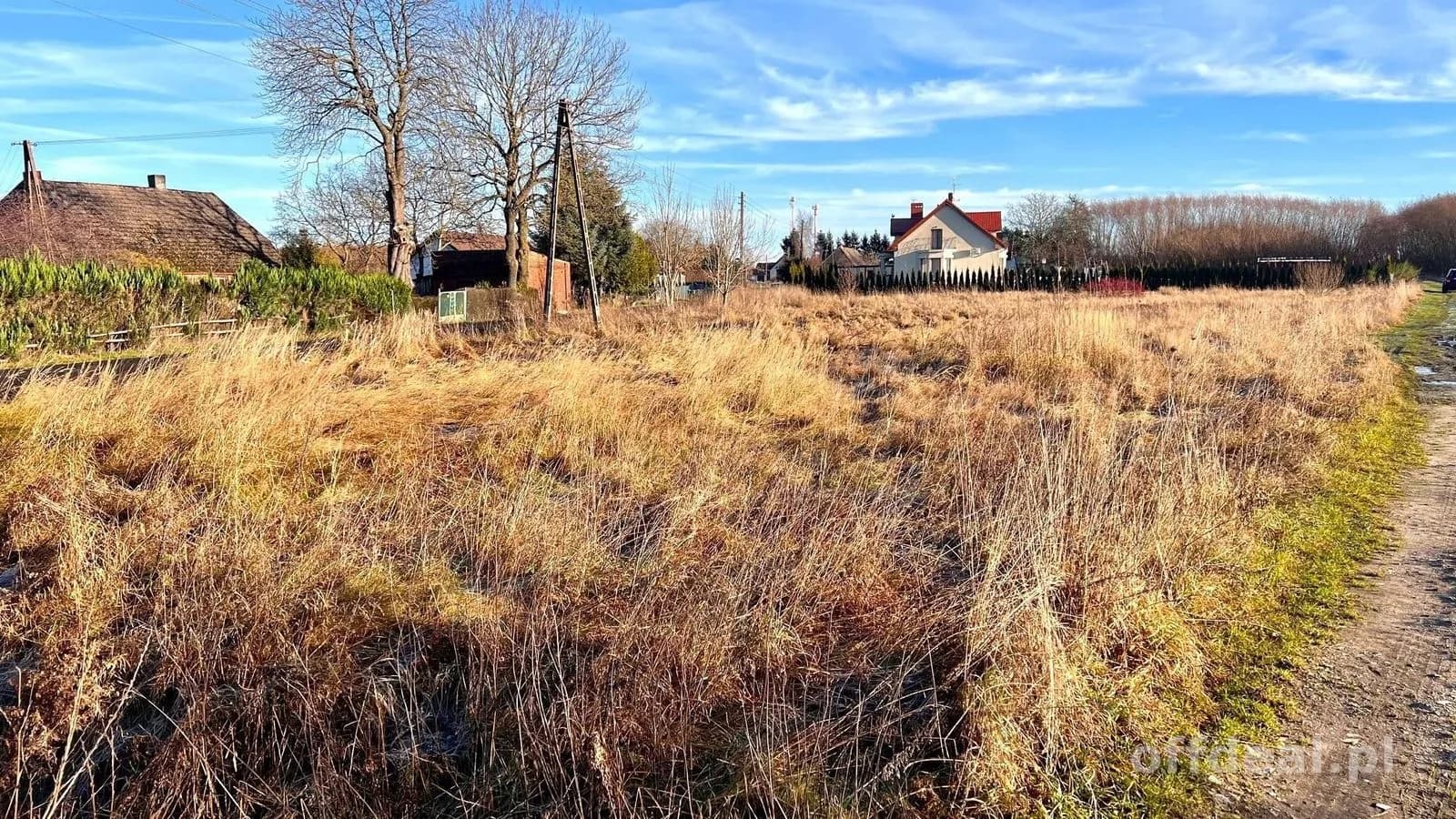 plot for sale in Czernin | 2,692 m²