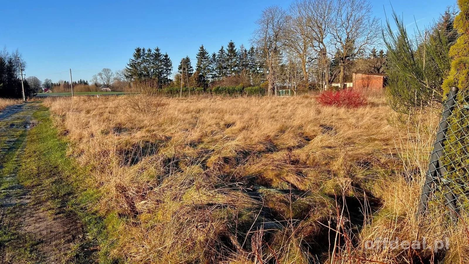 plot for sale in Czernin | 2,692 m²