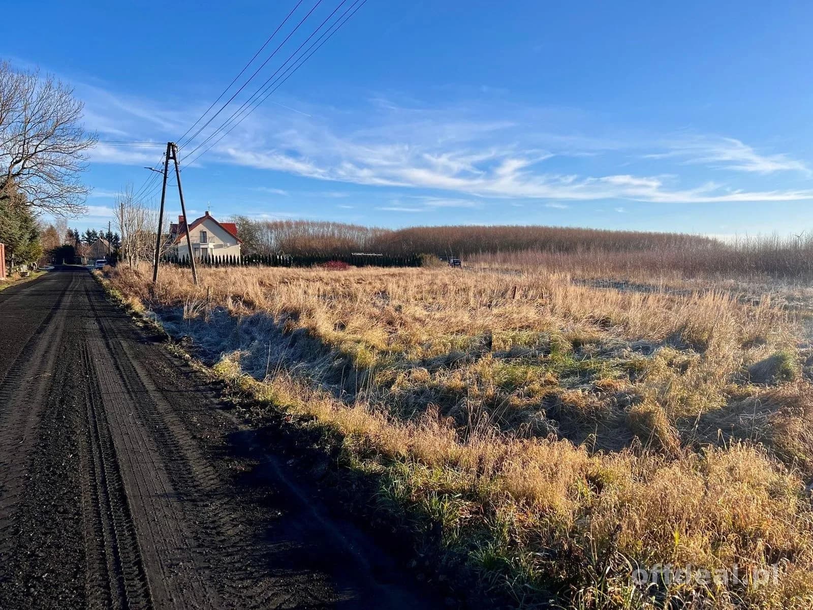 plot for sale in Czernin | 2,692 m²