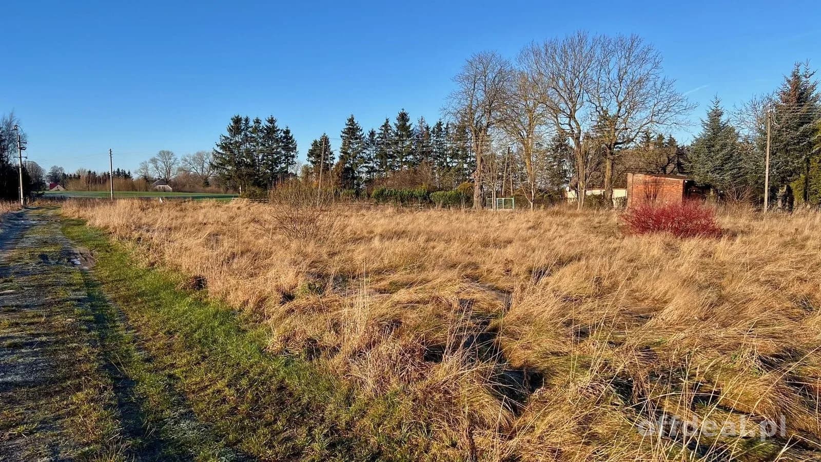 plot for sale in Czernin | 2,692 m²