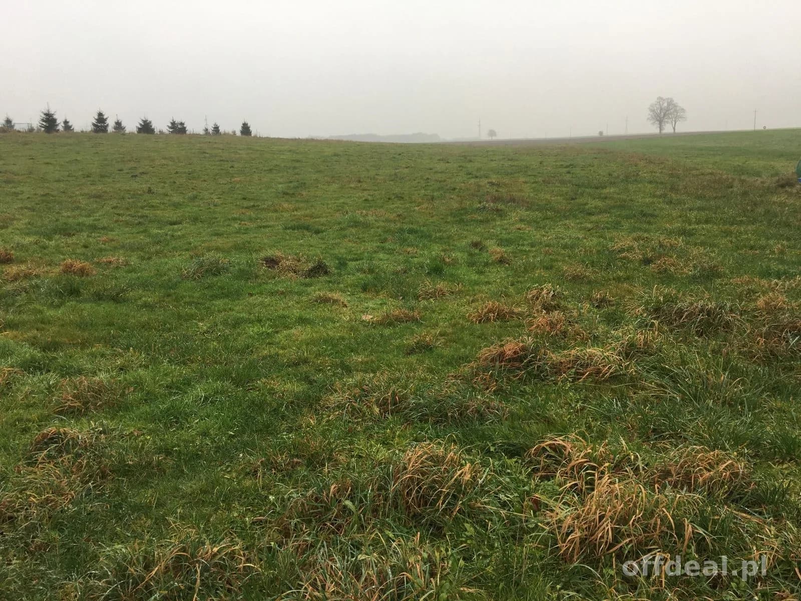 ділянка на продаж у Bogucino | 10 060 m²