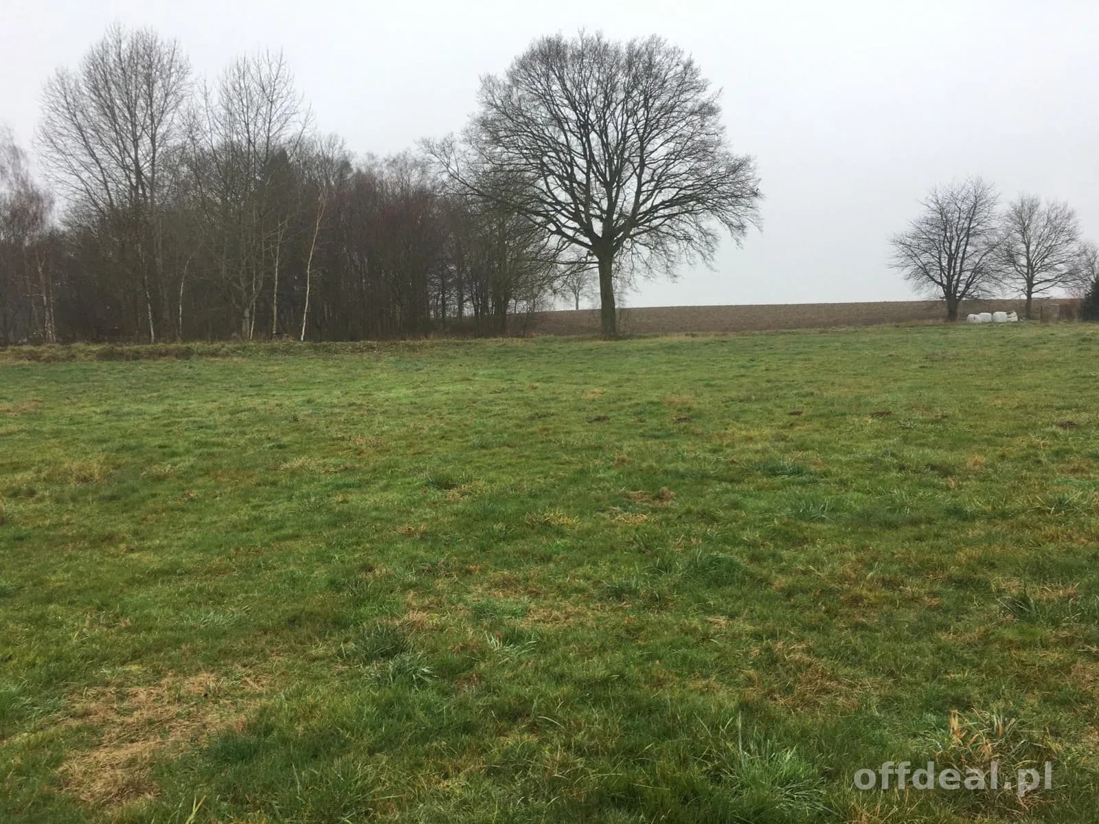 ділянка на продаж у Bogucino | 10 060 m²