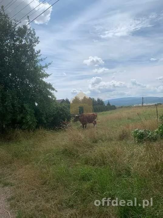 terrain à vendre à Dzierżoniów | 2 500 m²