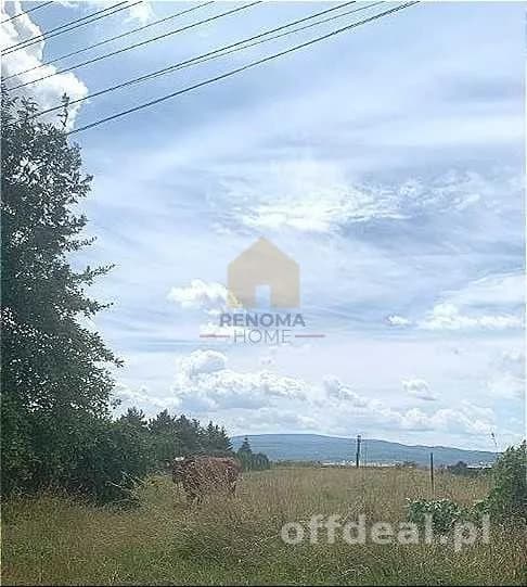terrain à vendre à Dzierżoniów | 2 500 m²