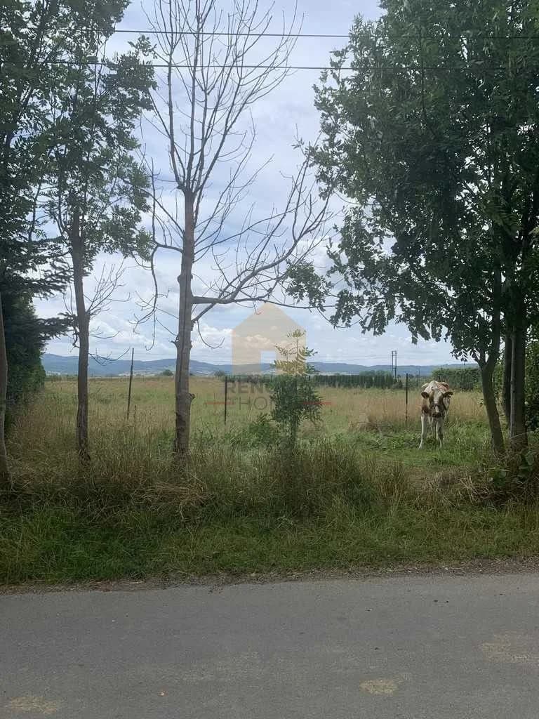 terrain à vendre à Dzierżoniów | 2 500 m²