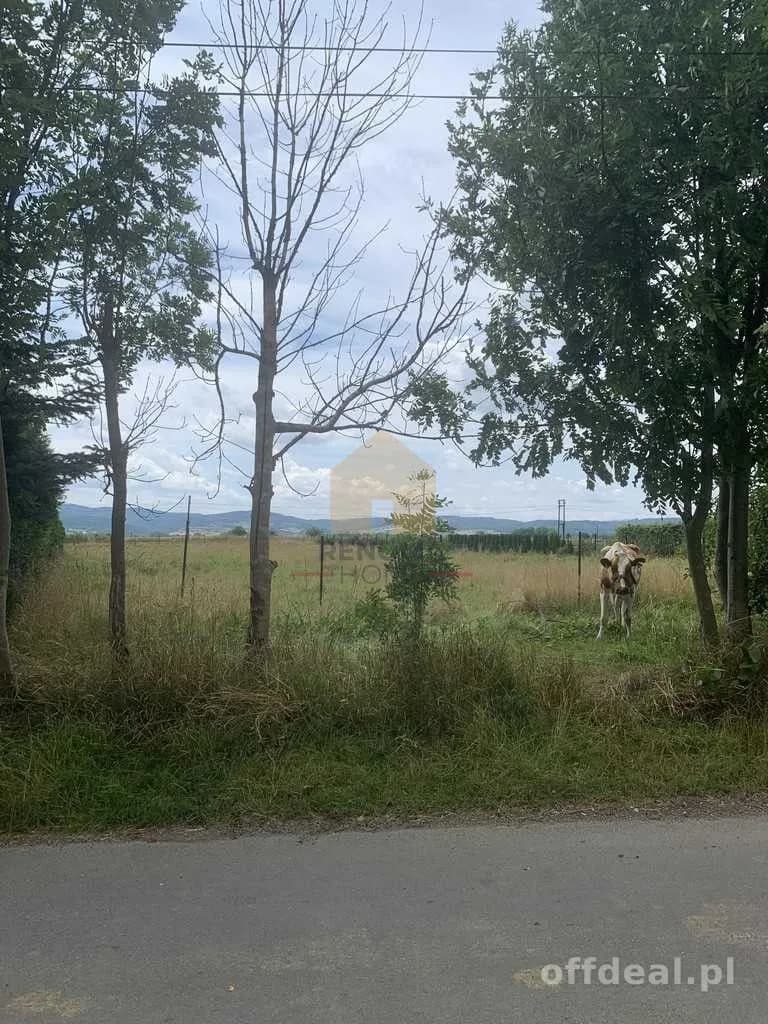 terrain à vendre à Dzierżoniów | 2 500 m²