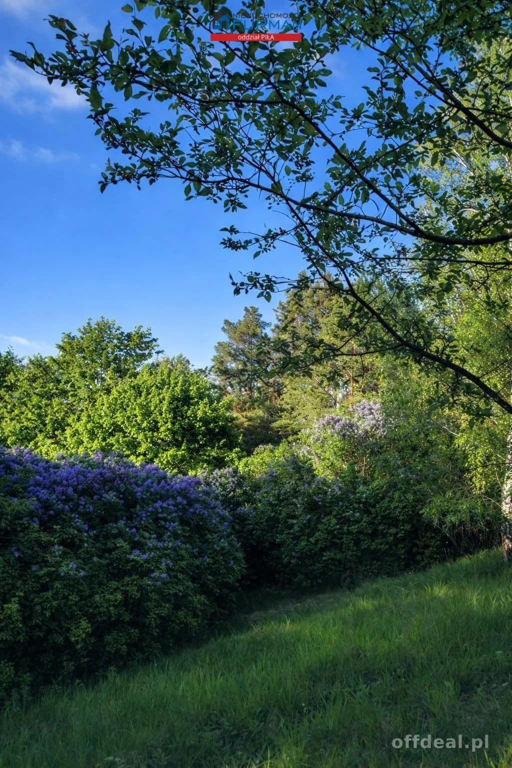 terrain à vendre à Biała/Trzcianka, Biała | 32 921 m²