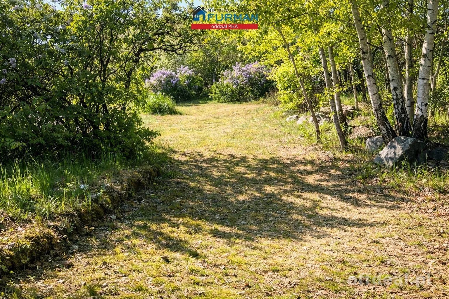 terrain à vendre à Biała/Trzcianka, Biała | 32 921 m²