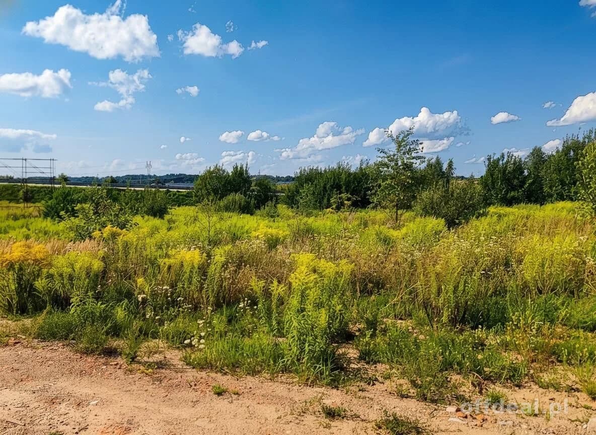 plot for sale in Ełk, Siedliska | 3,000 m²