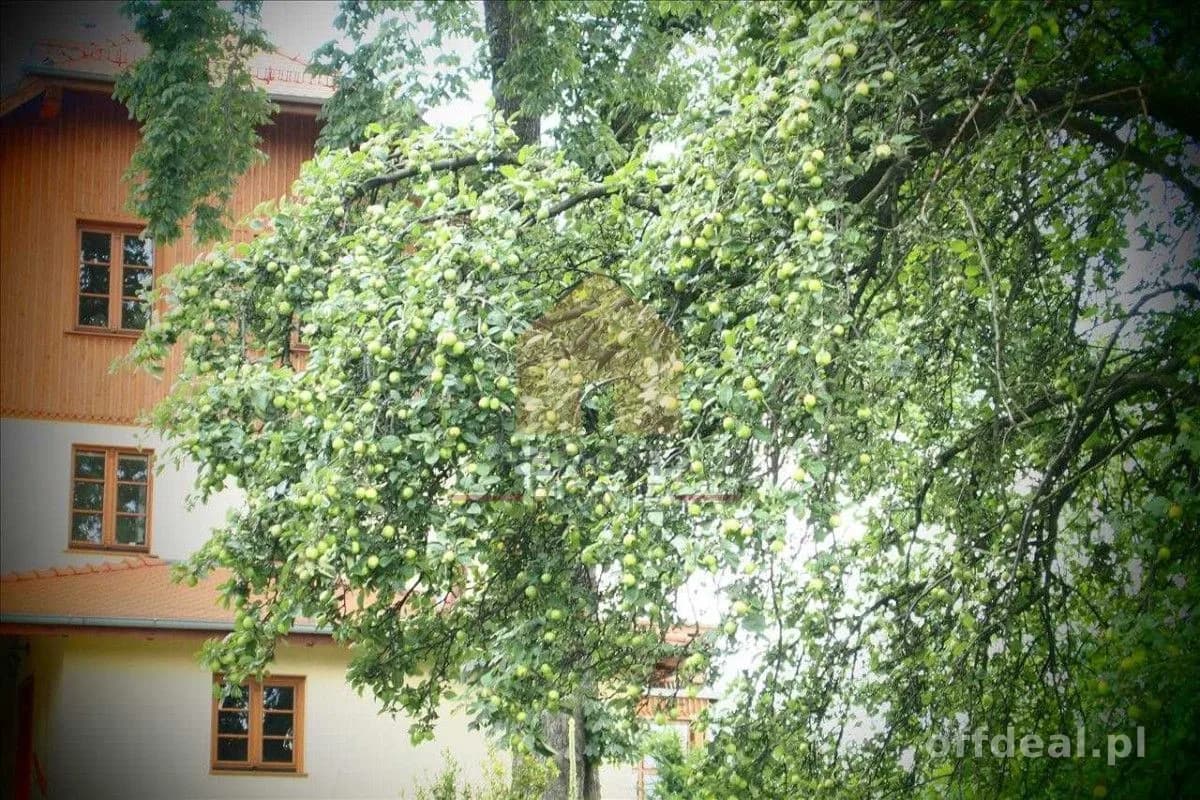 Rezydencja dla wymagających.