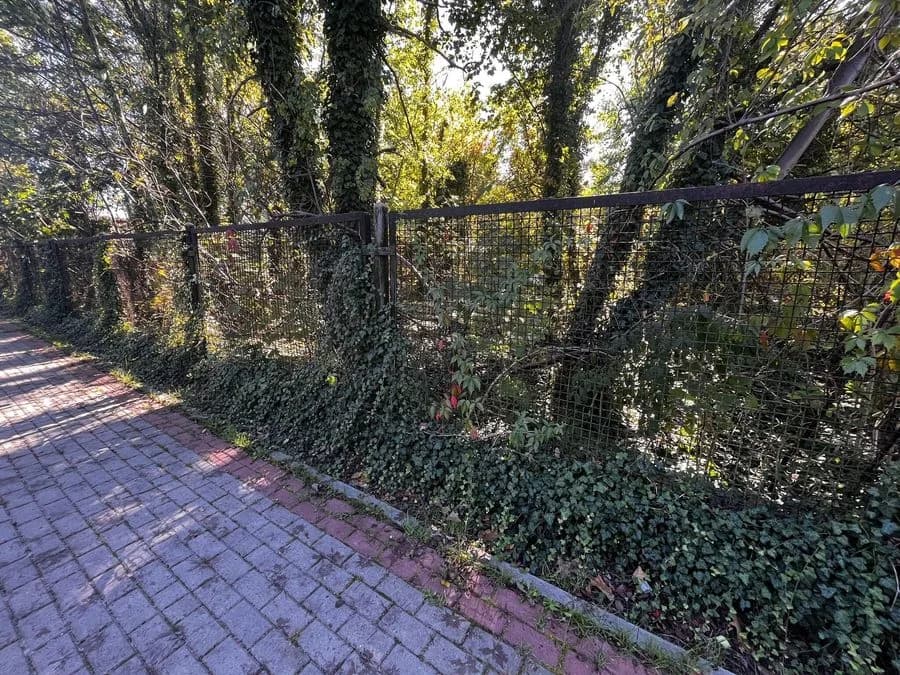 Działka 2376 m² z MPZP – Międzyborów media.