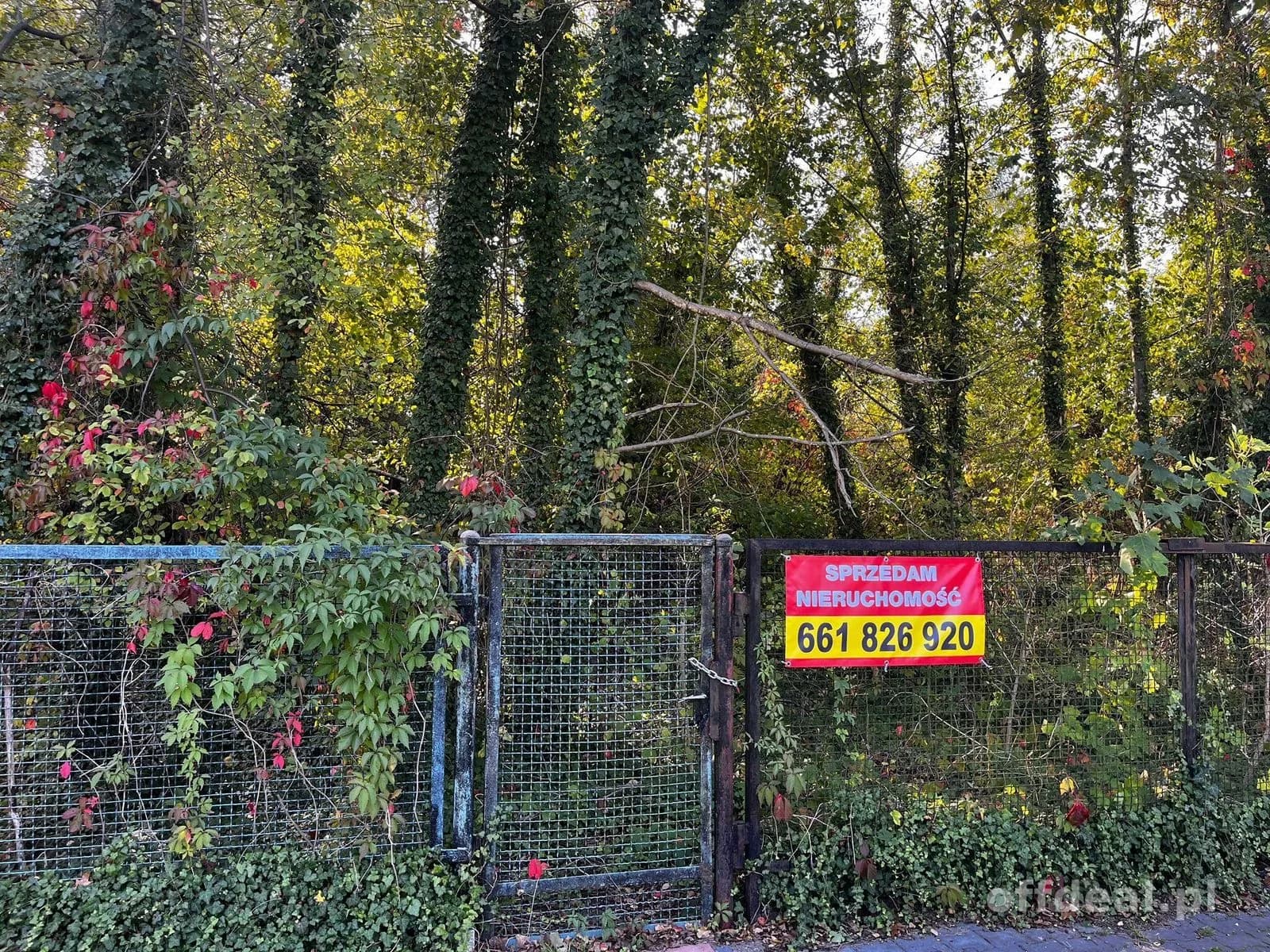 Działka 2376 m² z MPZP – Międzyborów media.