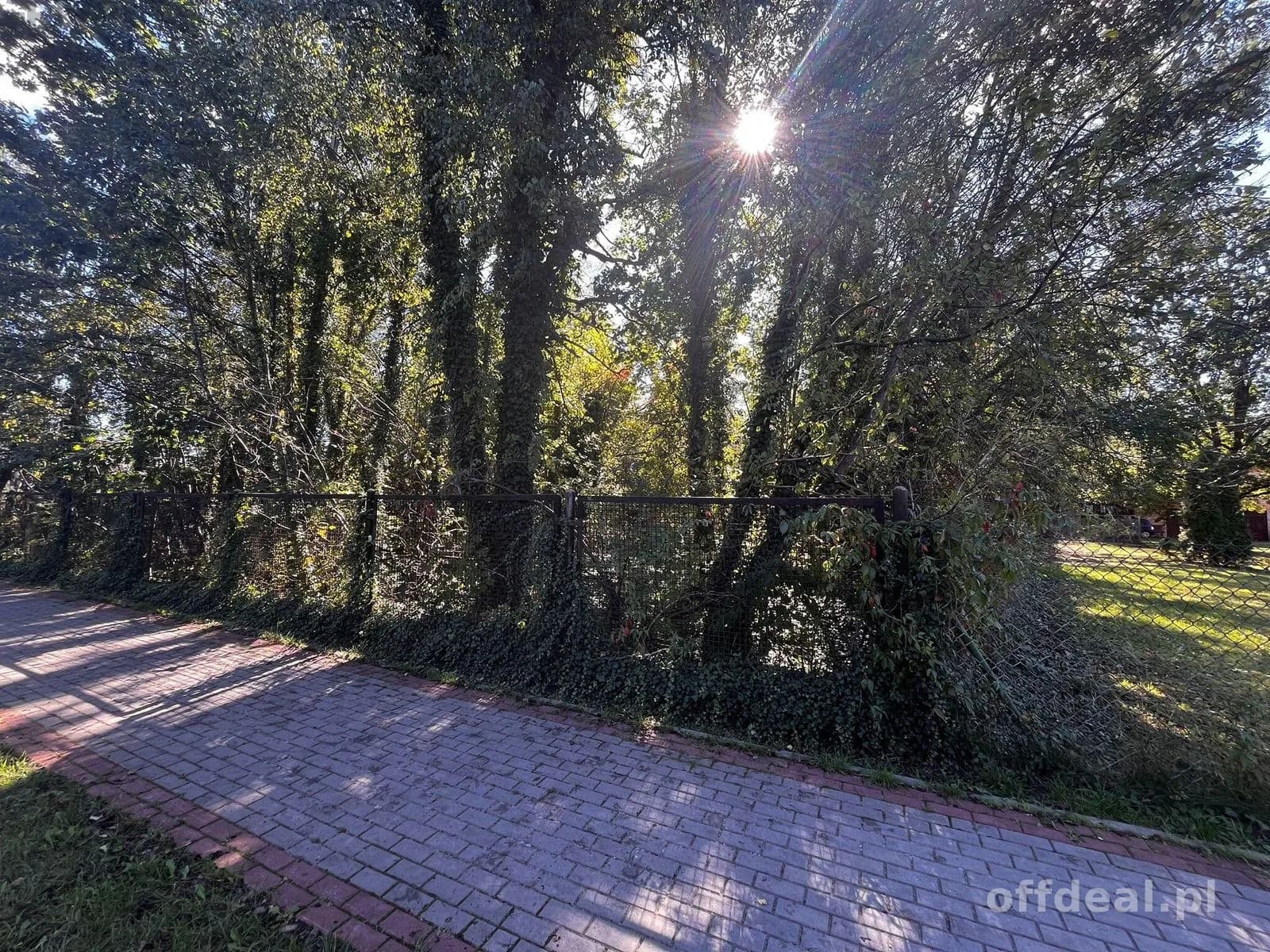 Działka 2376 m² z MPZP – Międzyborów media.
