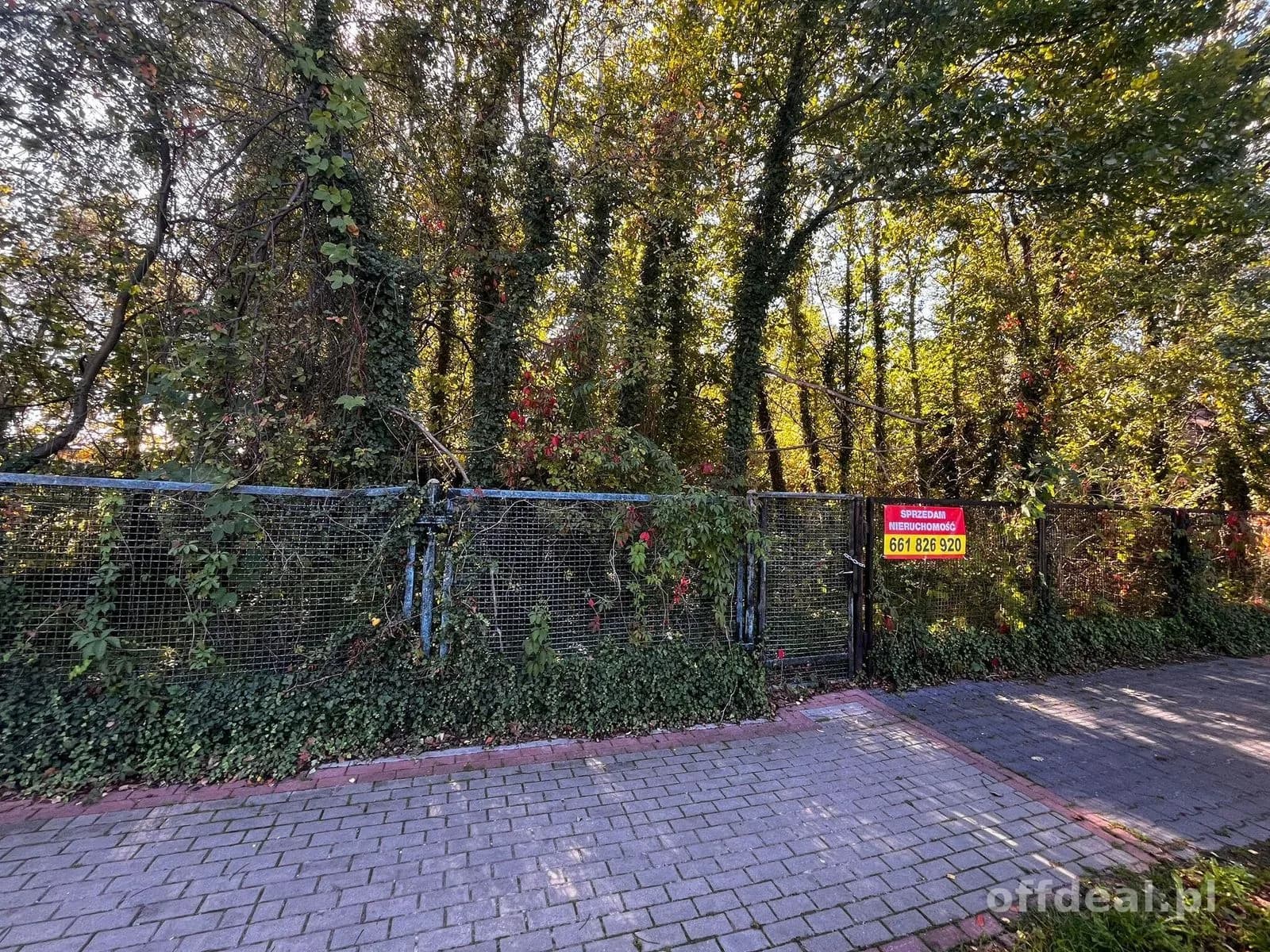 Działka 2376 m² z MPZP – Międzyborów media.