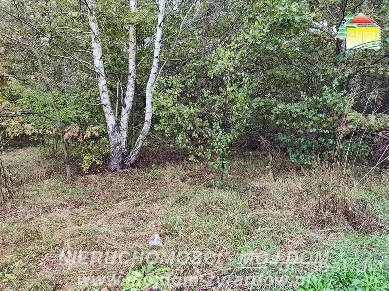ділянка на продаж у Franciszków | 3 500 m²