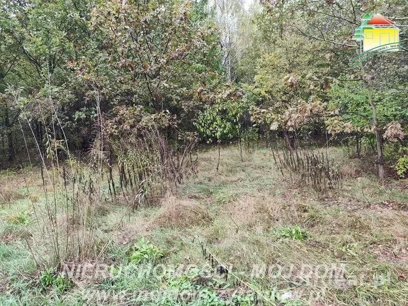 ділянка на продаж у Franciszków | 3 500 m²