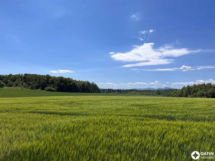 Działka na sprzedaż, Pogorzała