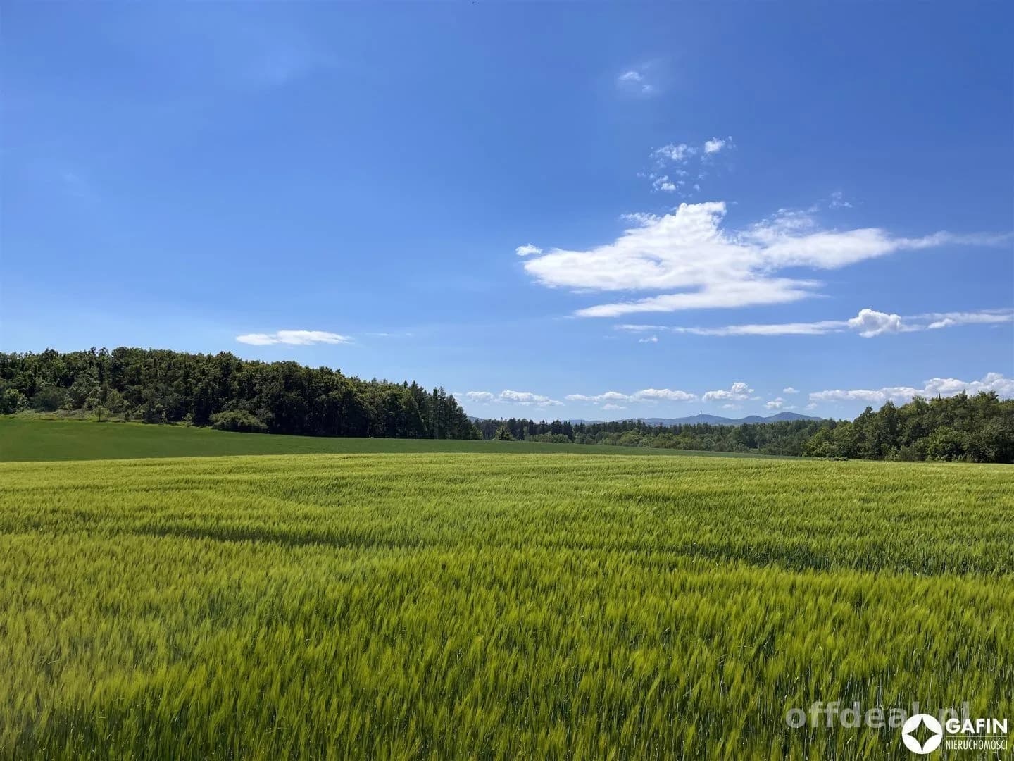 Działka na sprzedaż, Pogorzała