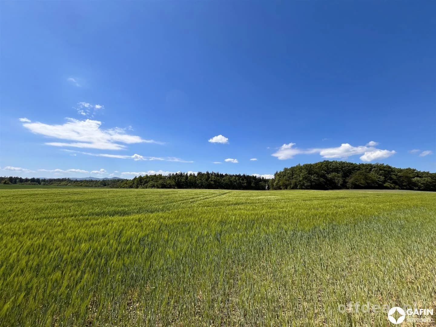 Działka na sprzedaż, Pogorzała
