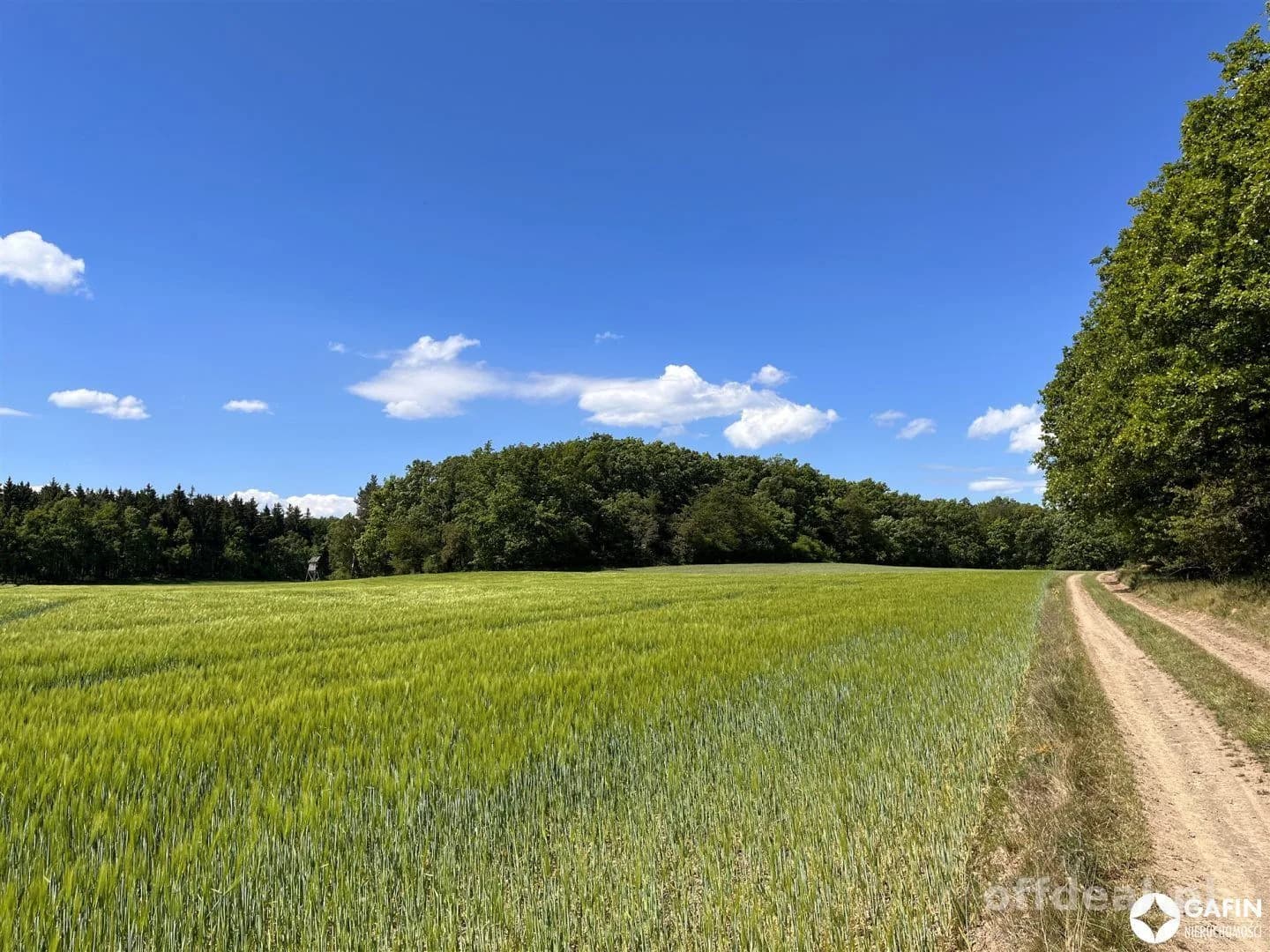 Działka na sprzedaż, Pogorzała