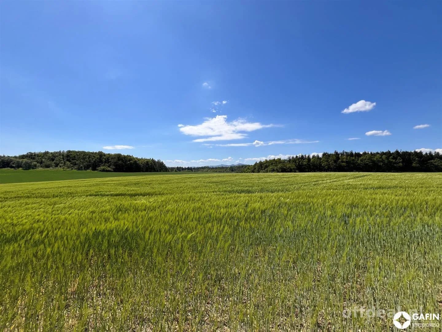 Działka na sprzedaż, Pogorzała
