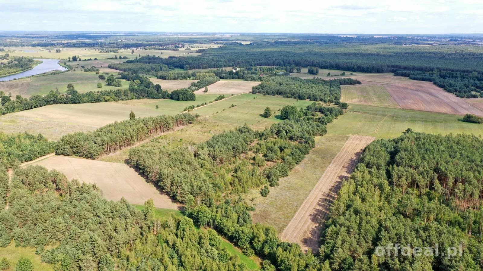 plot for sale in Osetno | 155,774 m²