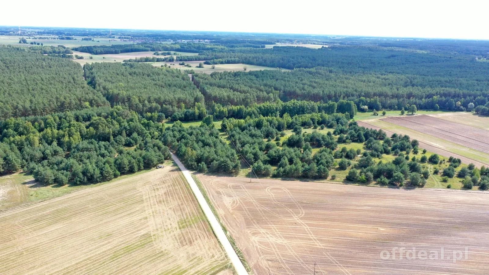 plot for sale in Osetno | 155,774 m²
